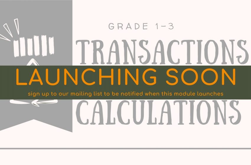 Transaction Calculations